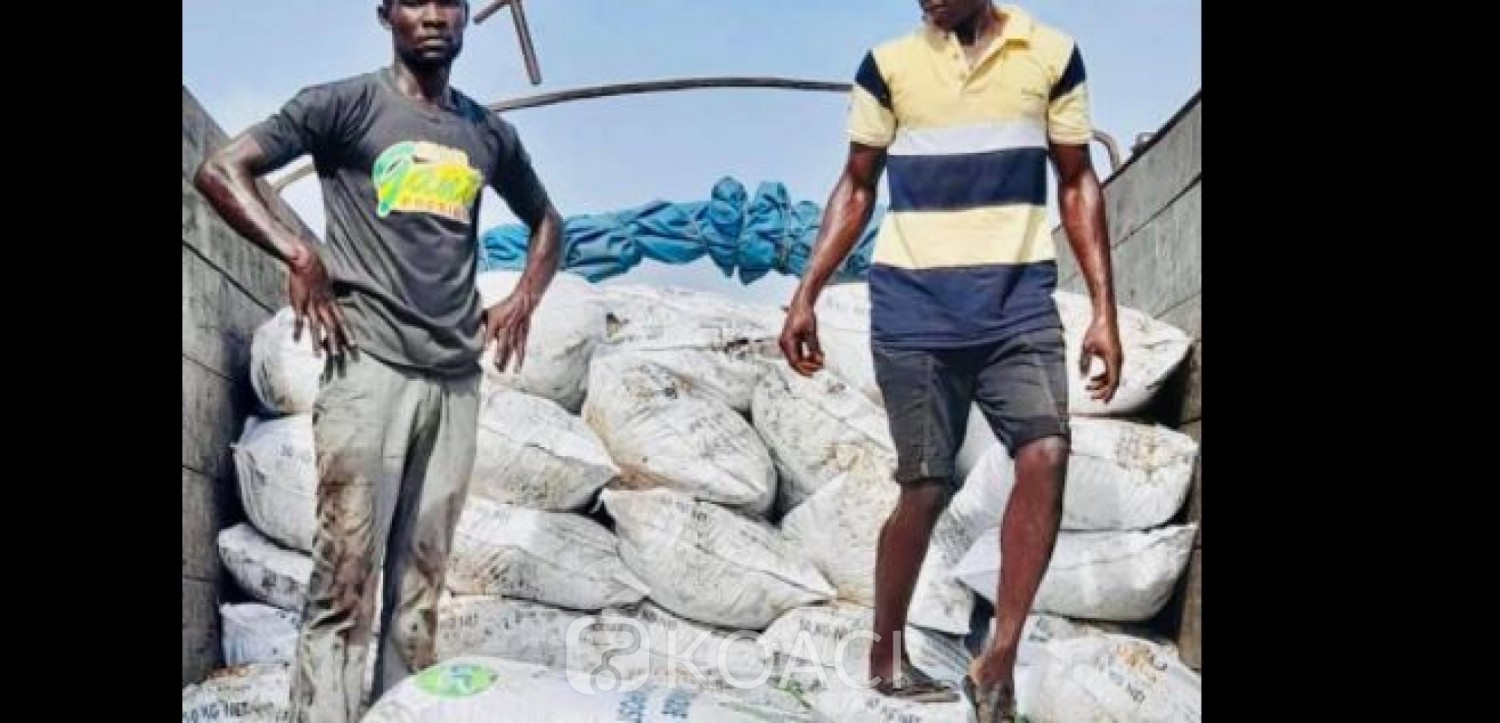 Côte d'Ivoire : Agboville, des individus armés de kalashnikov braquent un acheteur de cacao et emportent une somme de 20 millions