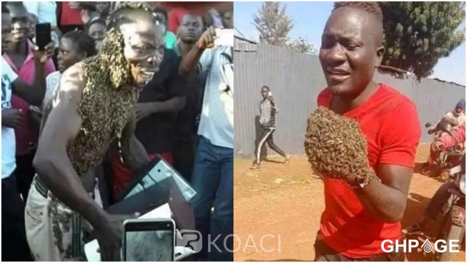 Kenya : Deux voleurs arrêtés par des abeilles et contraints de rendre leur butin