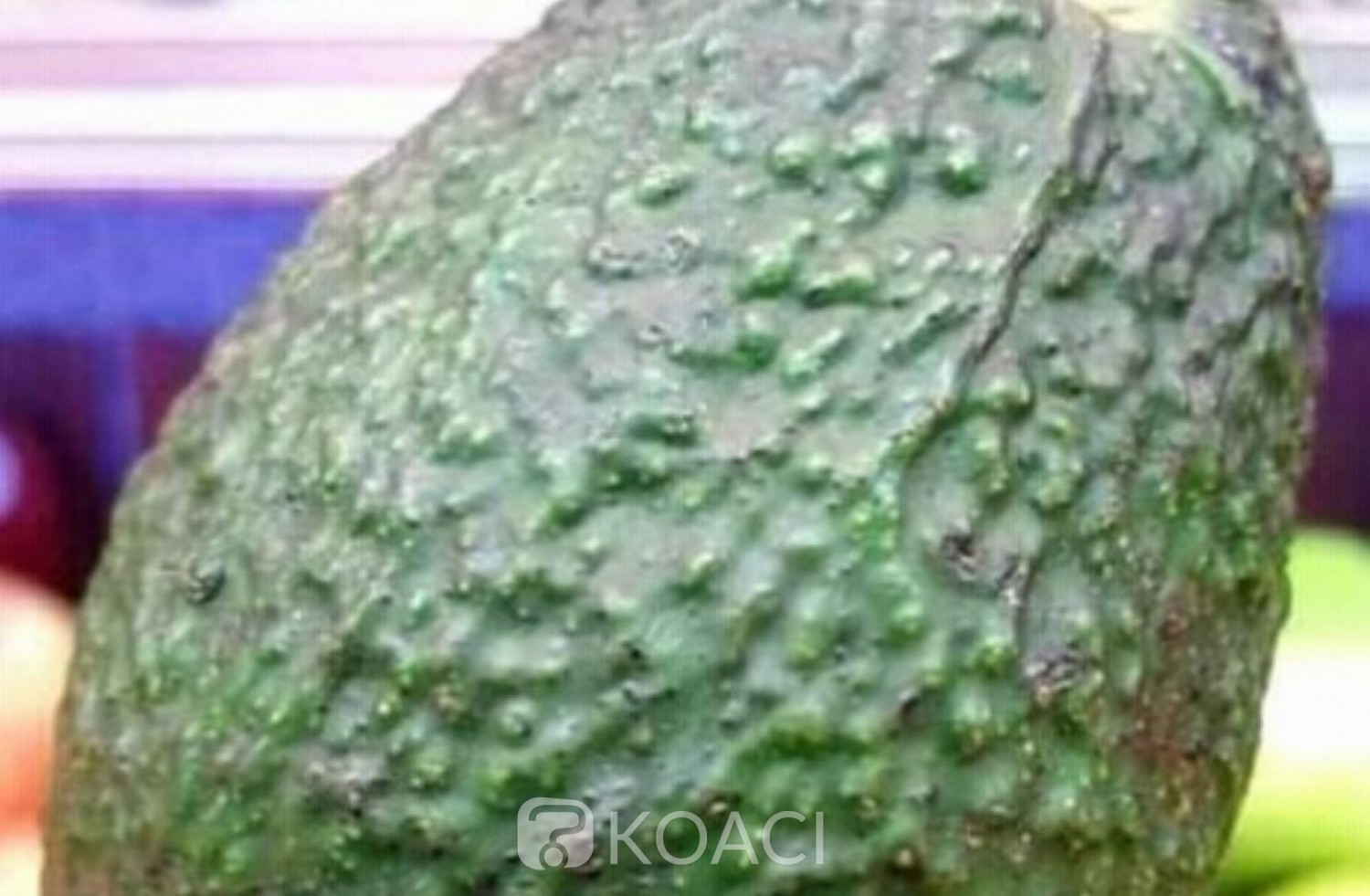 Cameroun : Douala, cinq enfants d'une même famille décèdent après avoir consommé l'avocat