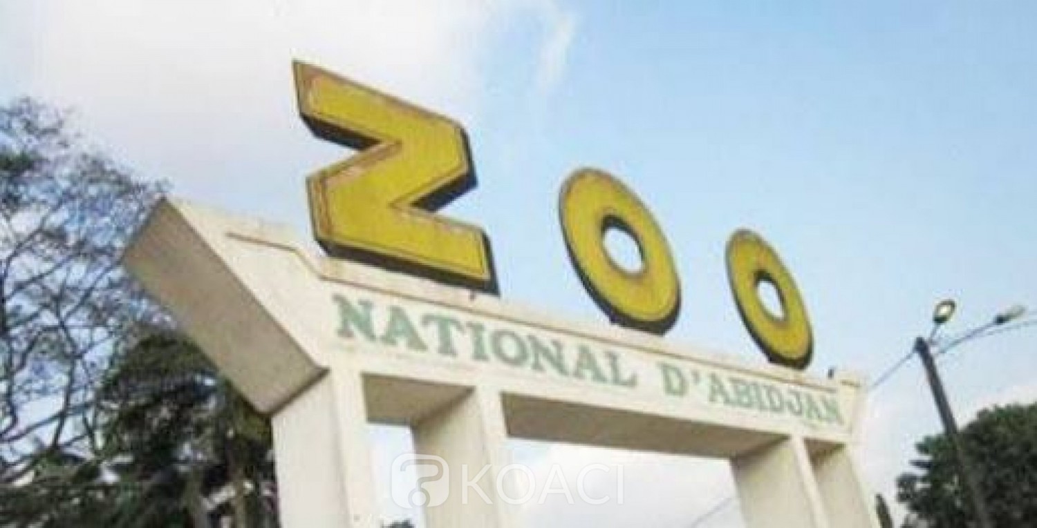 Côte d'Ivoire : Mise à niveau du Zoo d'Abidjan, 500 millions pour la réalisation des travaux