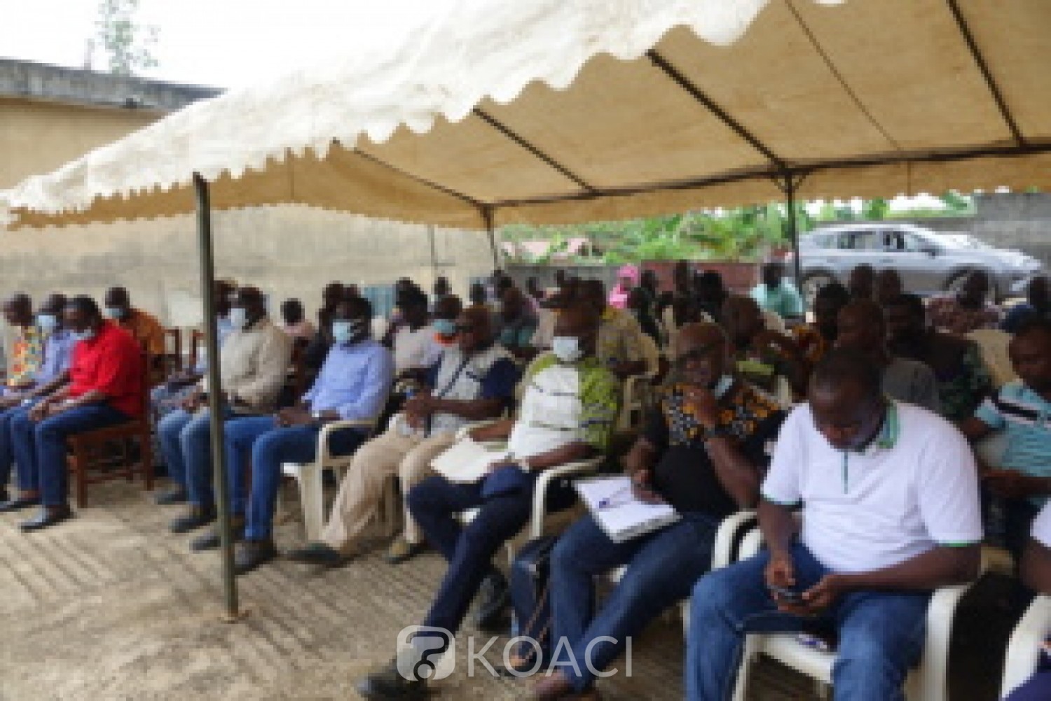 Côte d'Ivoire : Maféré, blocage des prix de palmier à huile, la grogne monte au sein des producteurs