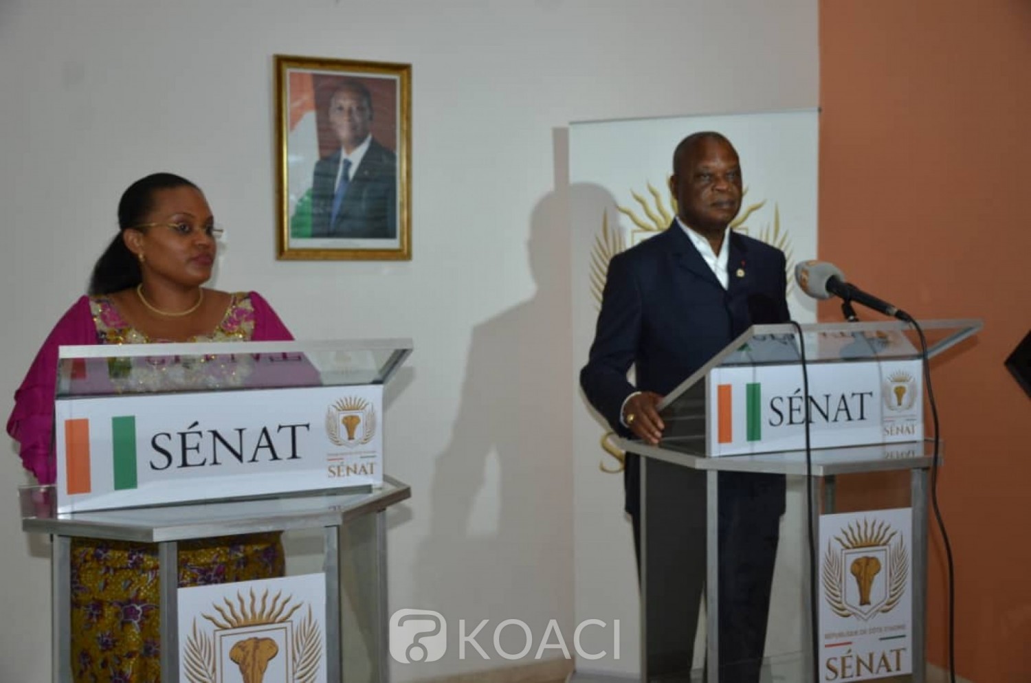 Côte d'Ivoire :    Suite à une rencontre à Abidjan, les Sénats ivoirien et de la RDC annoncent une mutualisation de leurs expériences