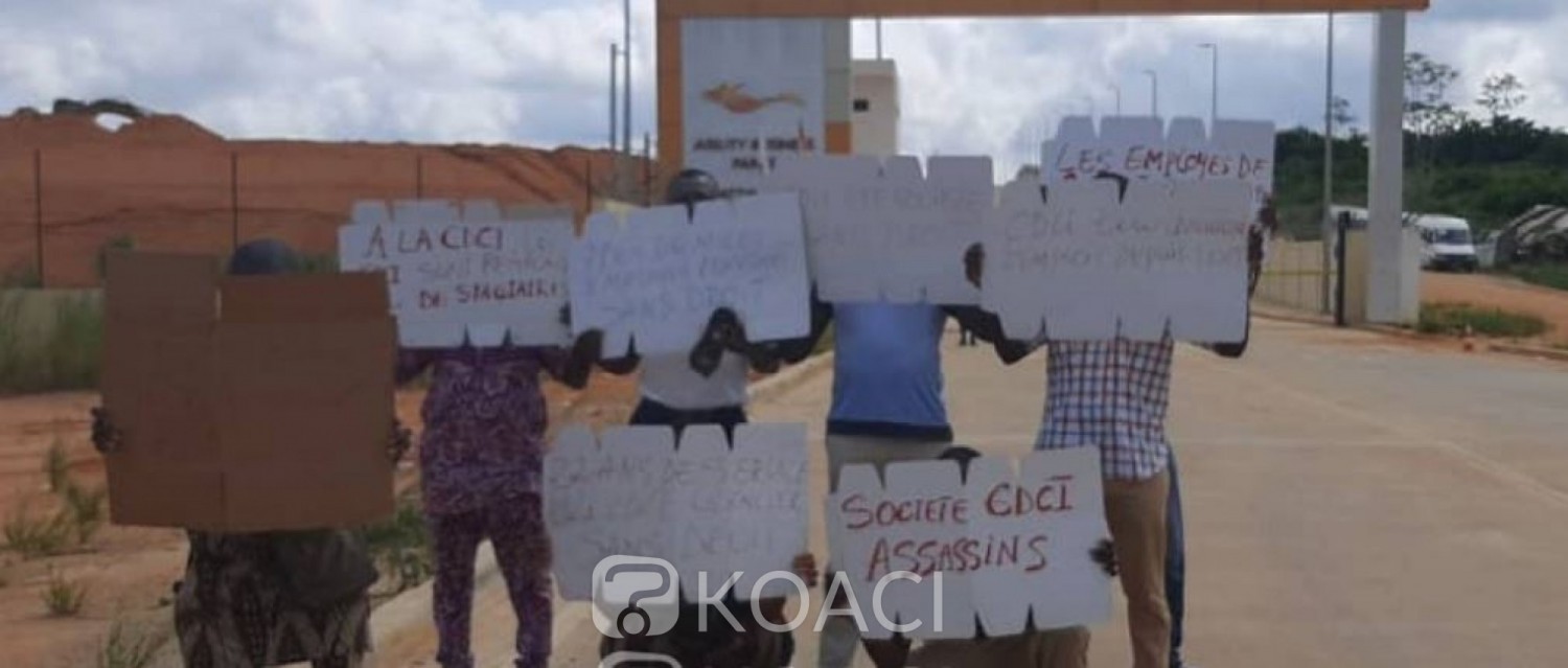 Côte d'Ivoire : CDCI, des employés licenciés en sit-in au km 24 pour réclamer de leurs droits, les syndicats appellent à une action urgente de l'État