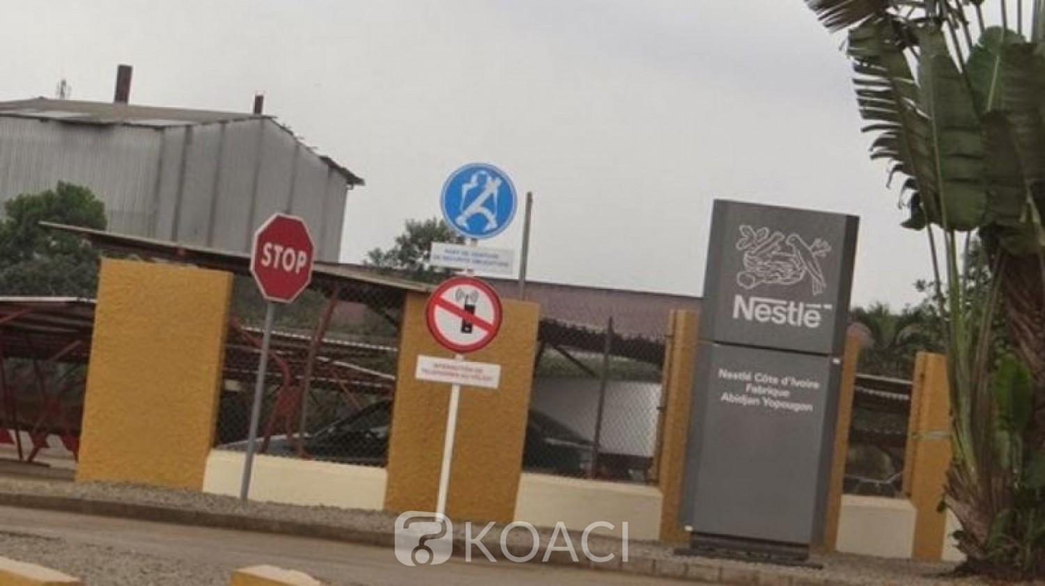 Côte d'Ivoire : A travers un document qui a fuité, Nestlé reconnaît que la plupart de ses aliments ne sont pas bons pour la santé