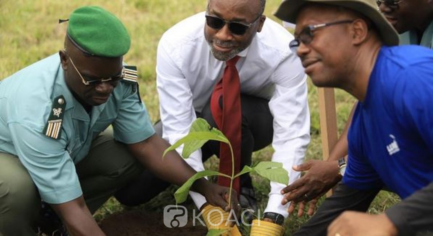 Côte d'Ivoire : Reboisement, une entreprise met à profit ses employés pour planter des arbres