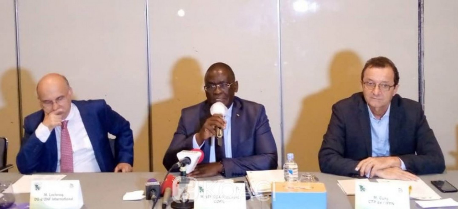 Cote d'Ivoire : Situation forestière alarmante au Pays, il ne reste plus que 400 mille hectares de forêts dense