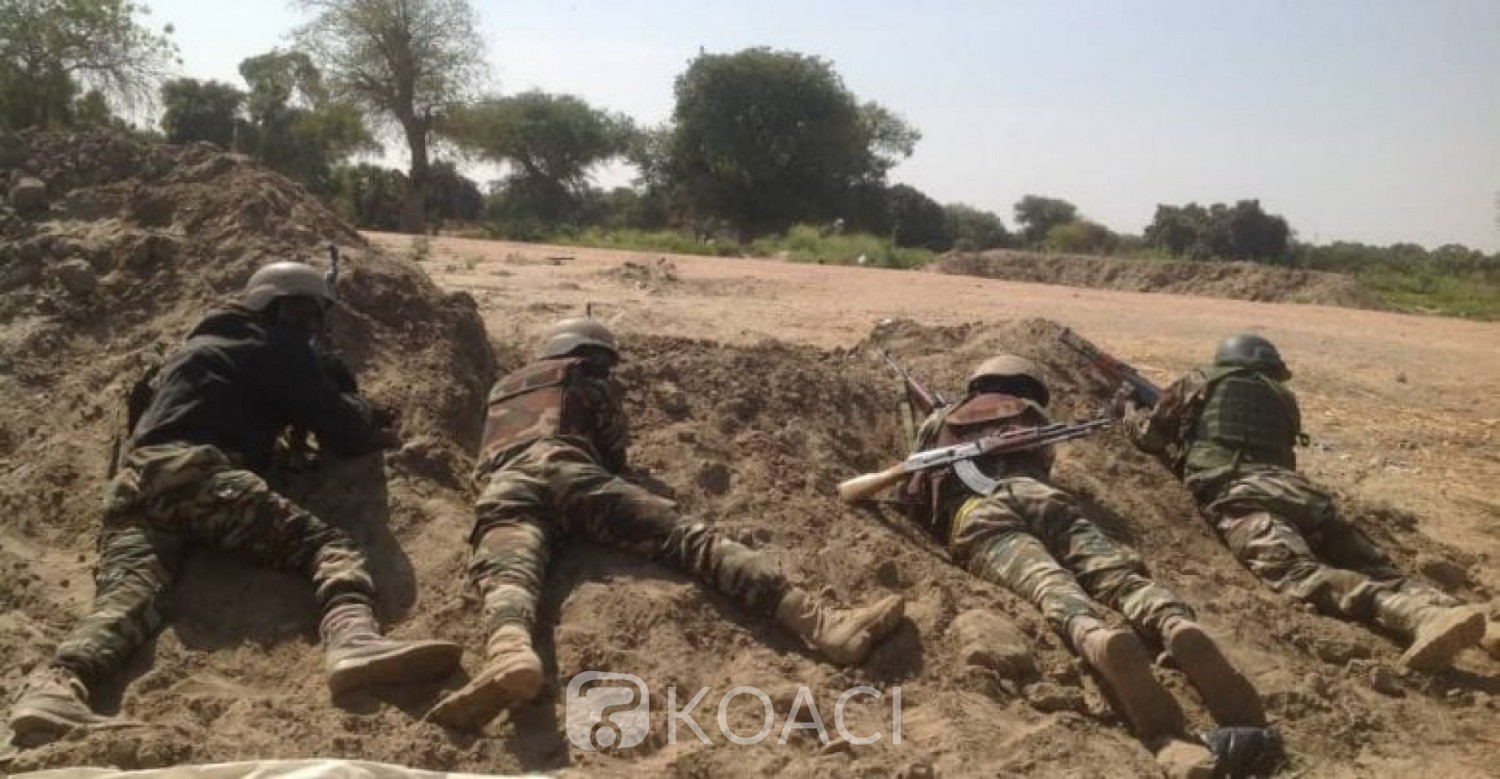 Niger : 13 éléments de Boko Haram éliminés par l'armée dans le sud-est, quatre civils exécutés