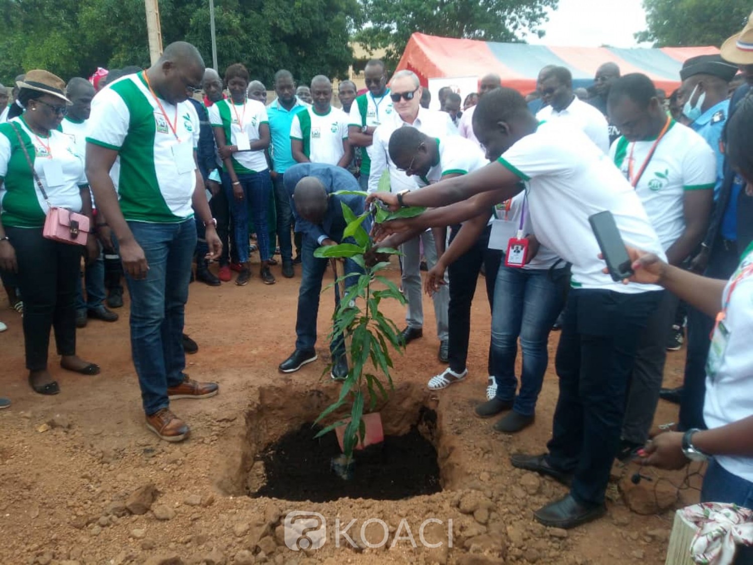 Côte d'Ivoire : Ferké, les jeunes s'inquiètent de la disparition des forêts classées autour de la ville