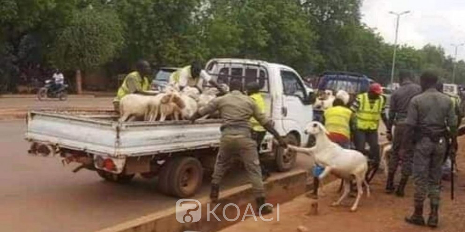 Burkina  Faso : Tabaski 2021, le maire de Ouagadougou interdit la vente anarchique de moutons et de volailles