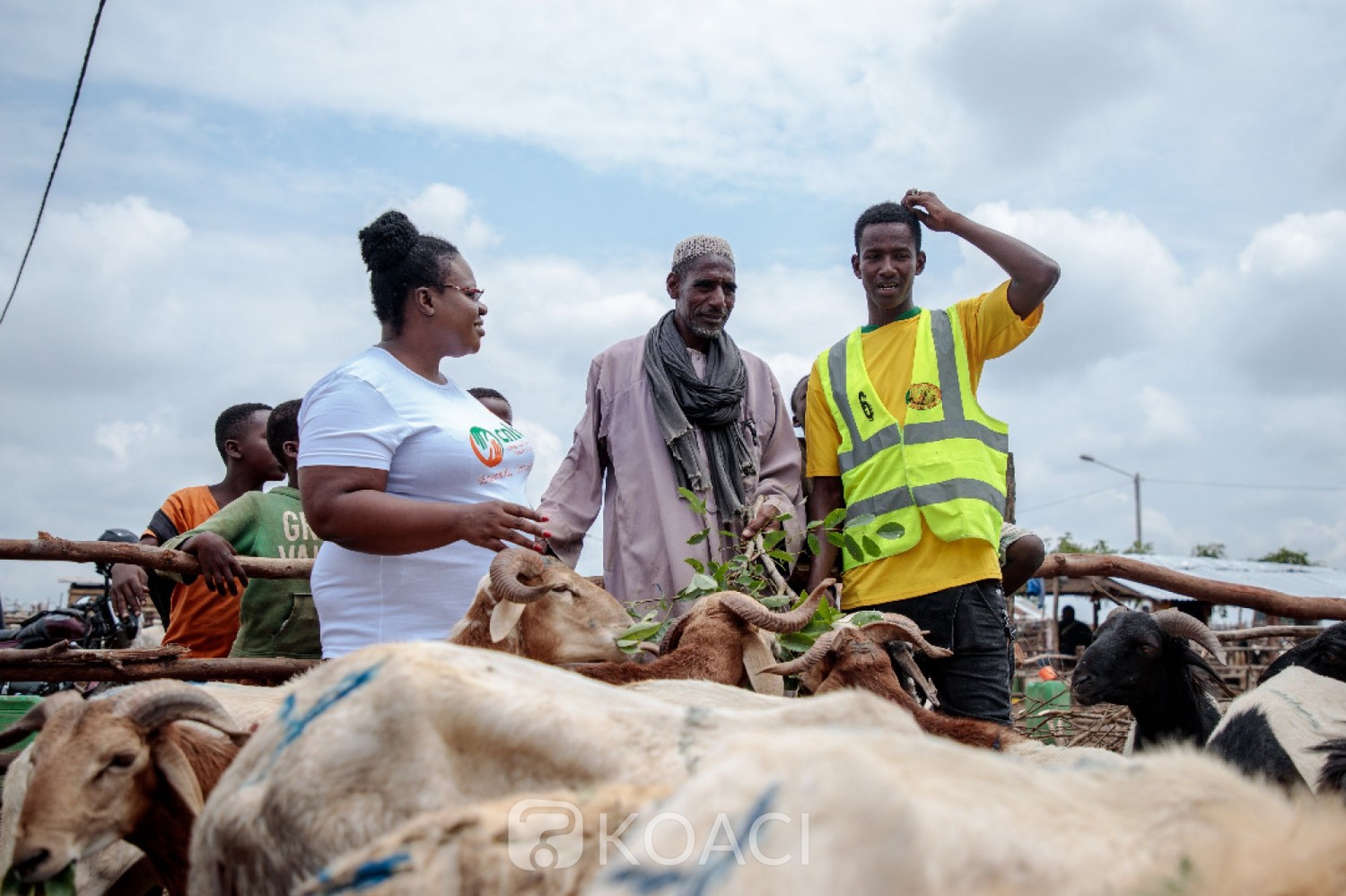 Côte d'Ivoire :    Fête de la Tabaski, les acteurs de la filière bétail-viande assurent qu'ils n'y aura pas de pénurie de moutons et annoncent que les prix des bêtes sont abordables