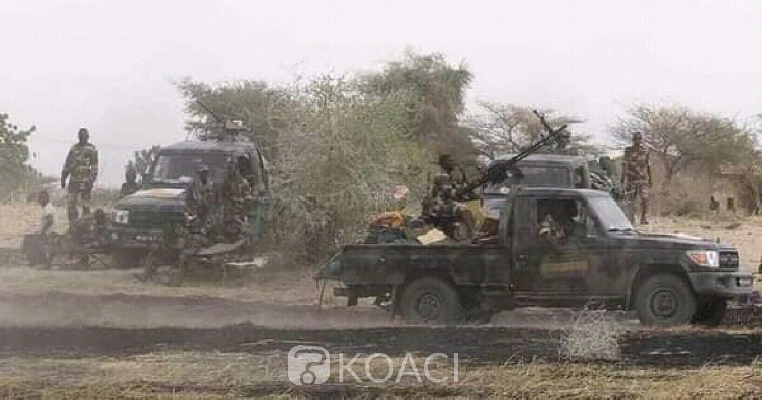 Cameroun : Au moins 7 militaires tués dans une attaque de Boko Haram