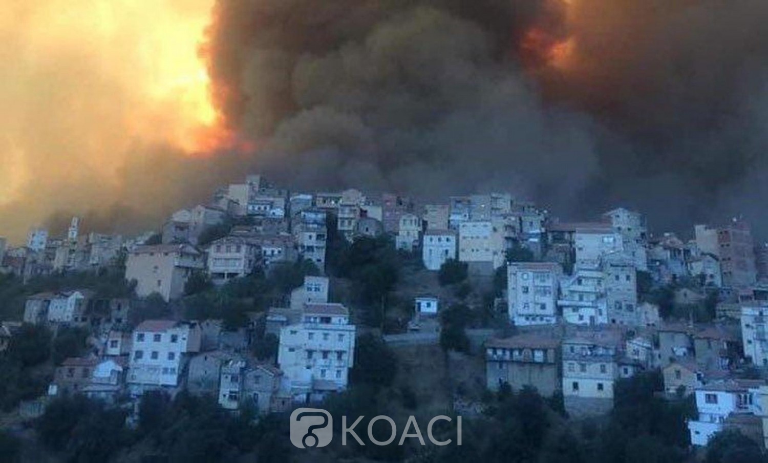 Tunisie-Algérie : Canicule à Tunis, 18 soldats périssent dans des incendies en Kabylie