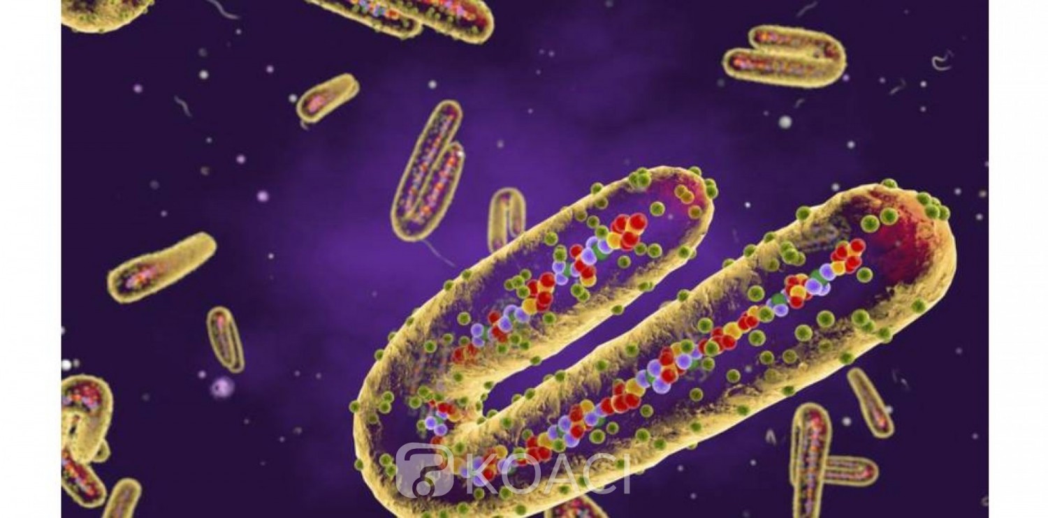 Côte d'Ivoire : Les autorités annoncent la détection d'un cas de fièvre Ebola et rassurent les populations que le pays dispose de vaccins contre cette maladie