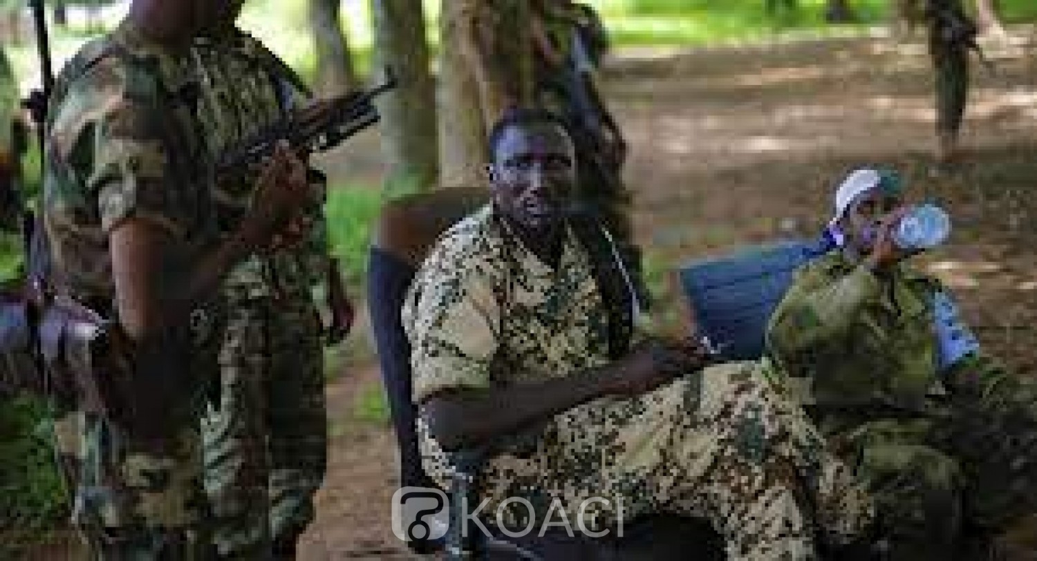 Centrafrique : Le géant français Castel accusé de financer les rebelles de l'UPC pour protéger « ses intérêts »