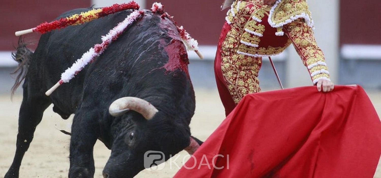 Nigeria-Espagne :  Un festival de taureaux annulé en Espagne