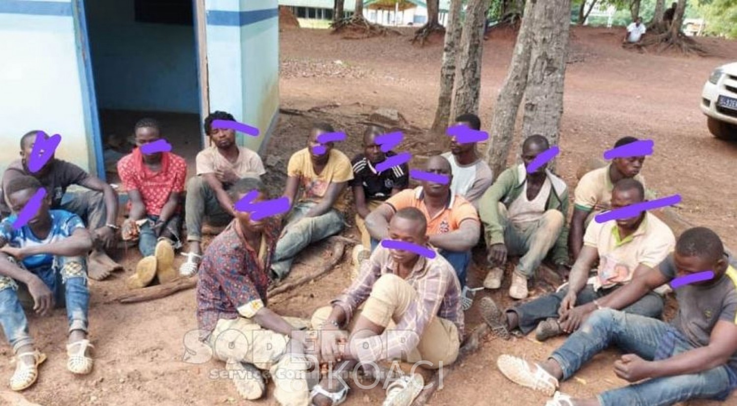 Côte d'Ivoire : 12 jours de prison ferme pour des orpailleurs Clandestins appréhendés dans une forêt classée