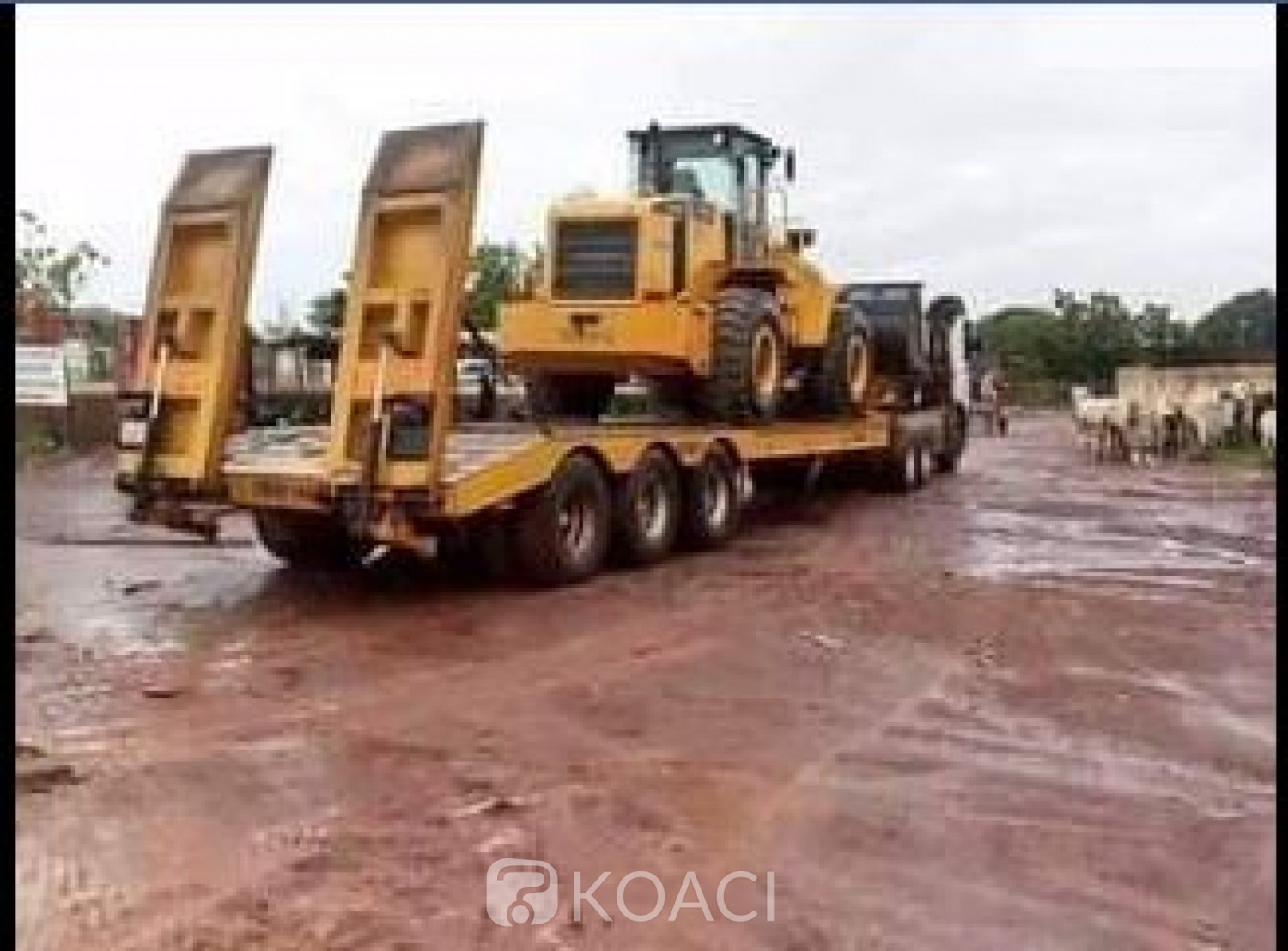 Côte d'Ivoire : Bitumage dans la ville de Tengrela, voici pourquoi les travaux sont arrêtés