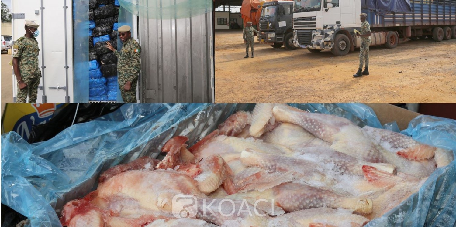Côte d'Ivoire :   Adzopé, 3.678 cartons de poulets congelés d'environ 37 tonnes saisis par les Douanes Ivoiriennes