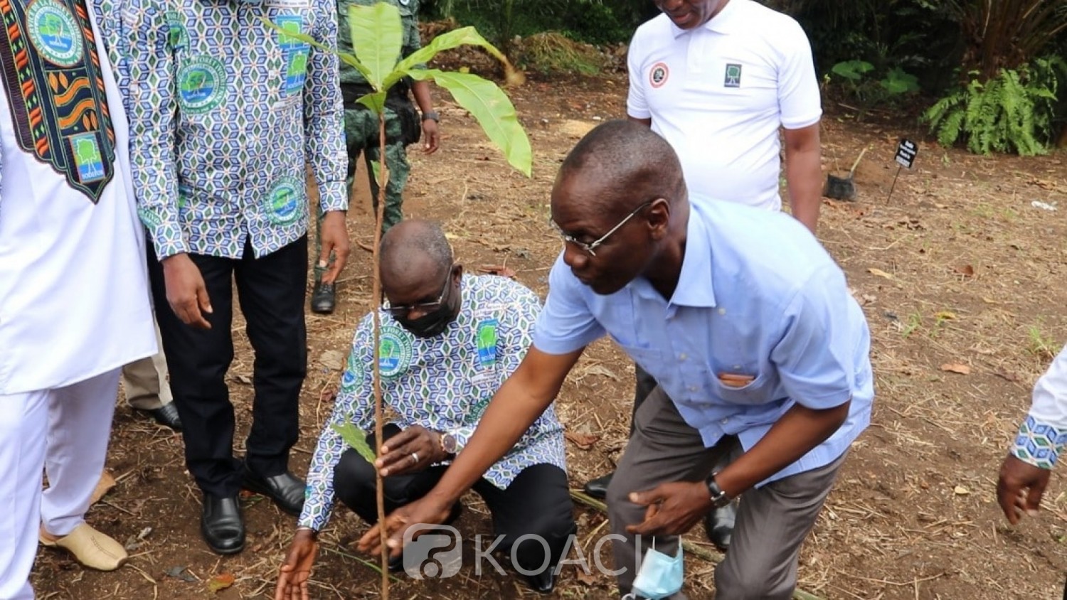 Côte d'Ivoire : Développement de la Forêt, un planting symbolique pour marquer le 55è anniversaire de la SODEFOR