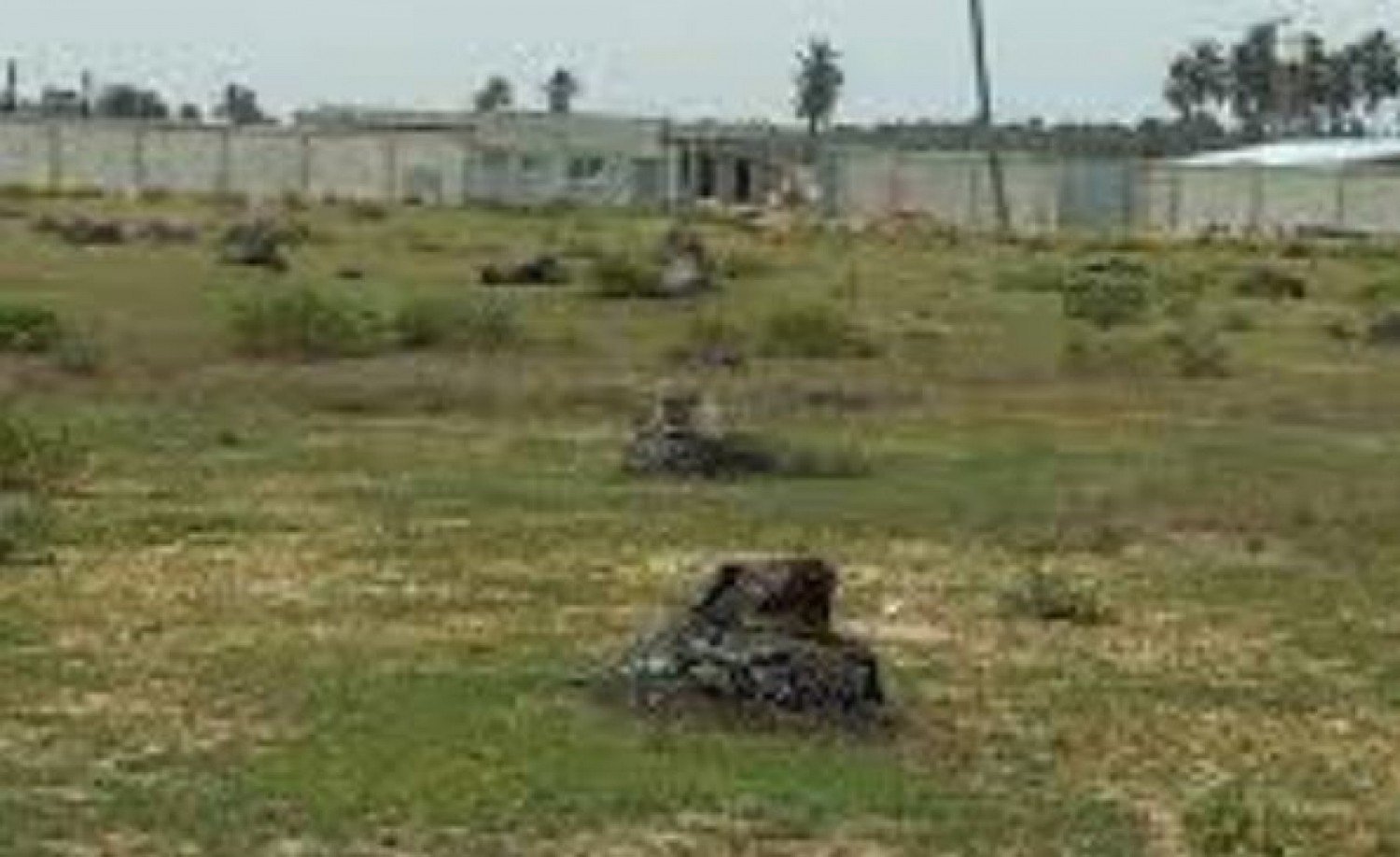 Côte d'Ivoire :   Le gouvernement au sujet du lotissement Abekan Bernard : « les propriétaires jouiront de leur droit de propriété s'ils ont des documents »