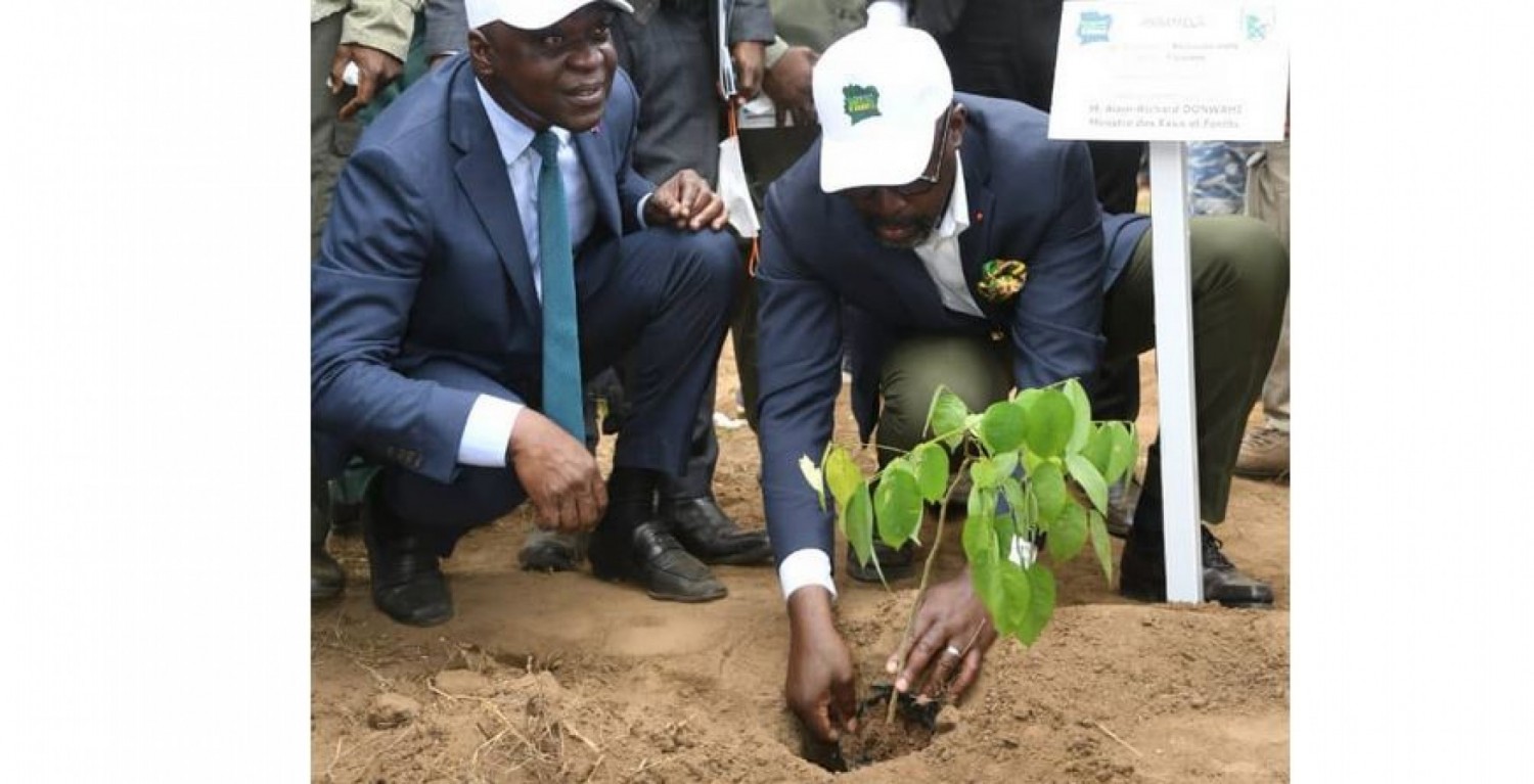 Côte d'Ivoire:   Reboisement, le ministère des Eaux et forêts lance officiellement l'opération « 1 jour 50 millions d'arbres »
