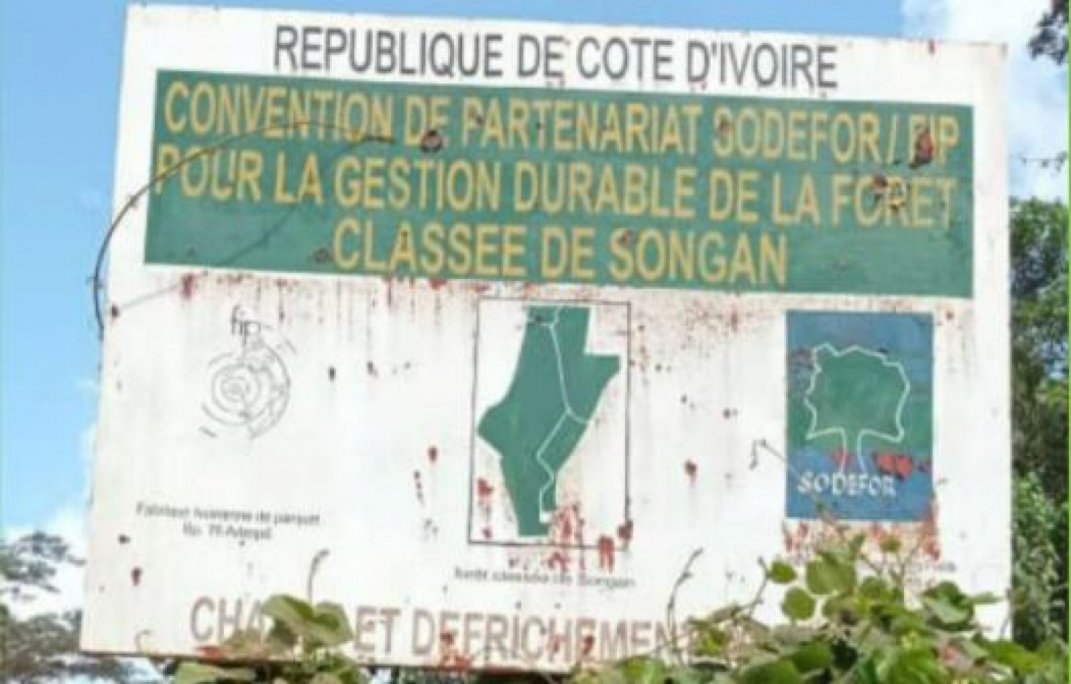 Côte d'Ivoire : Les services du Ministère des Eaux et Forêts mettent fin aux activités de plusieurs sociétés dont une Italienne  dans les forêts classées