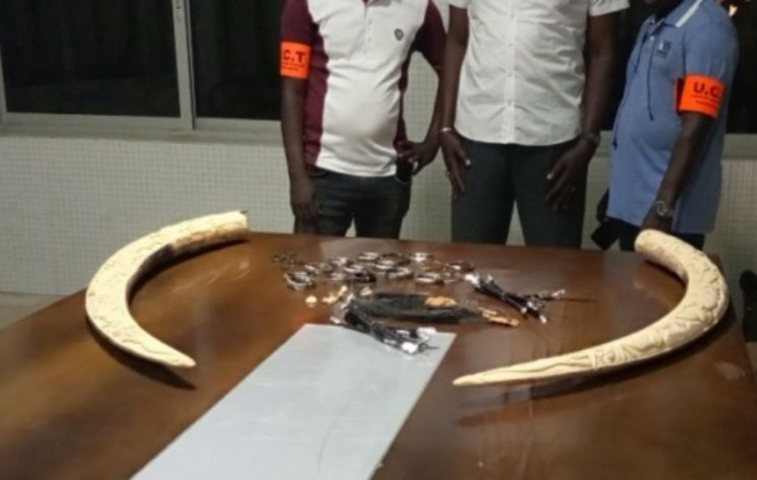 Côte d'Ivoire : Un présumé trafiquant opérant dans le commerce illégal de l'ivoire interpellé