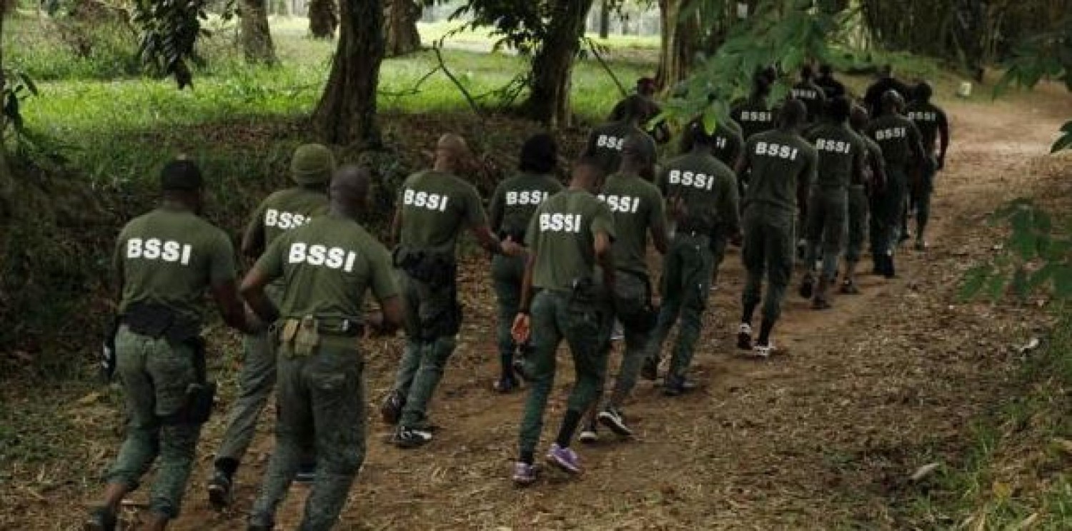 Côte d'Ivoire : Filière bois, le Gouvernement confirme les arrestations mais n'en dit pas plus