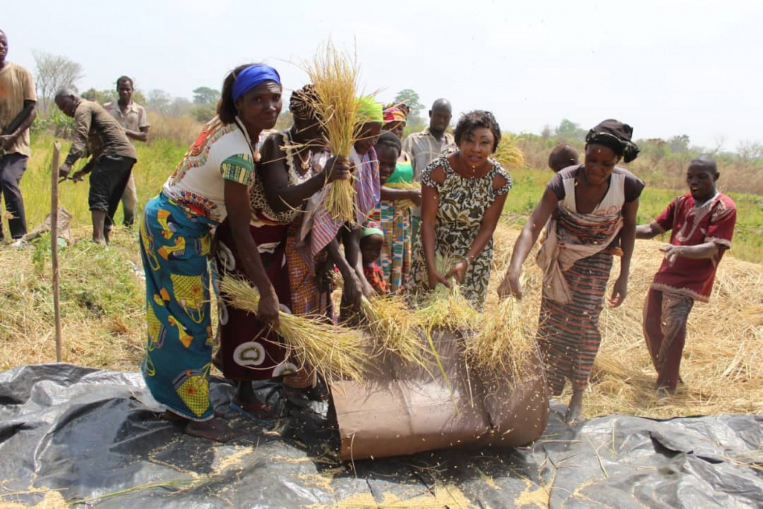 Côte d'Ivoire : Diabo, la présidente d'une association plaide pour un appui en faveur des producteurs de riz de sa localité