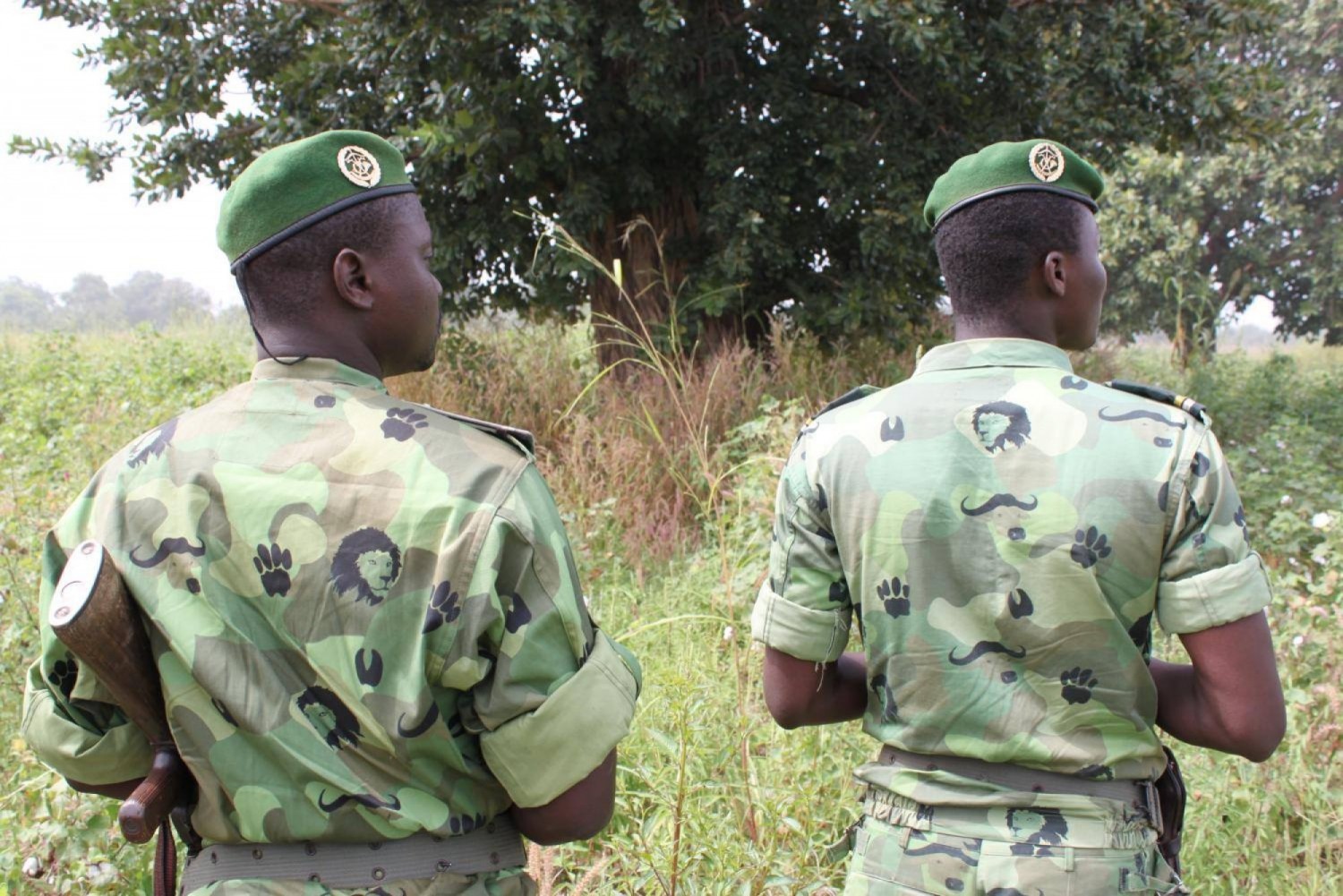 Bénin : Cinq gardes forestiers et un soldat tués dans une attaque terroriste dans  le parc W