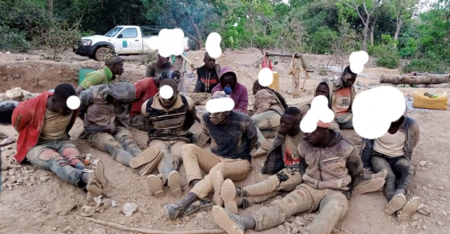 Côte d'Ivoire : La justice ordonne la libération de 02 des 10  orpailleurs clandestins appréhendés  dans la forêt classée de Badenou, aucun dédommagement  prononcé