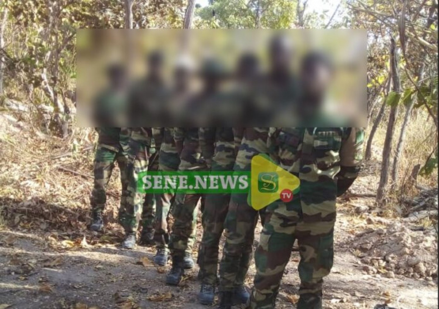 Gambie : Sept militaires sénégalais, prisonniers des rebelles de Casamance libérés