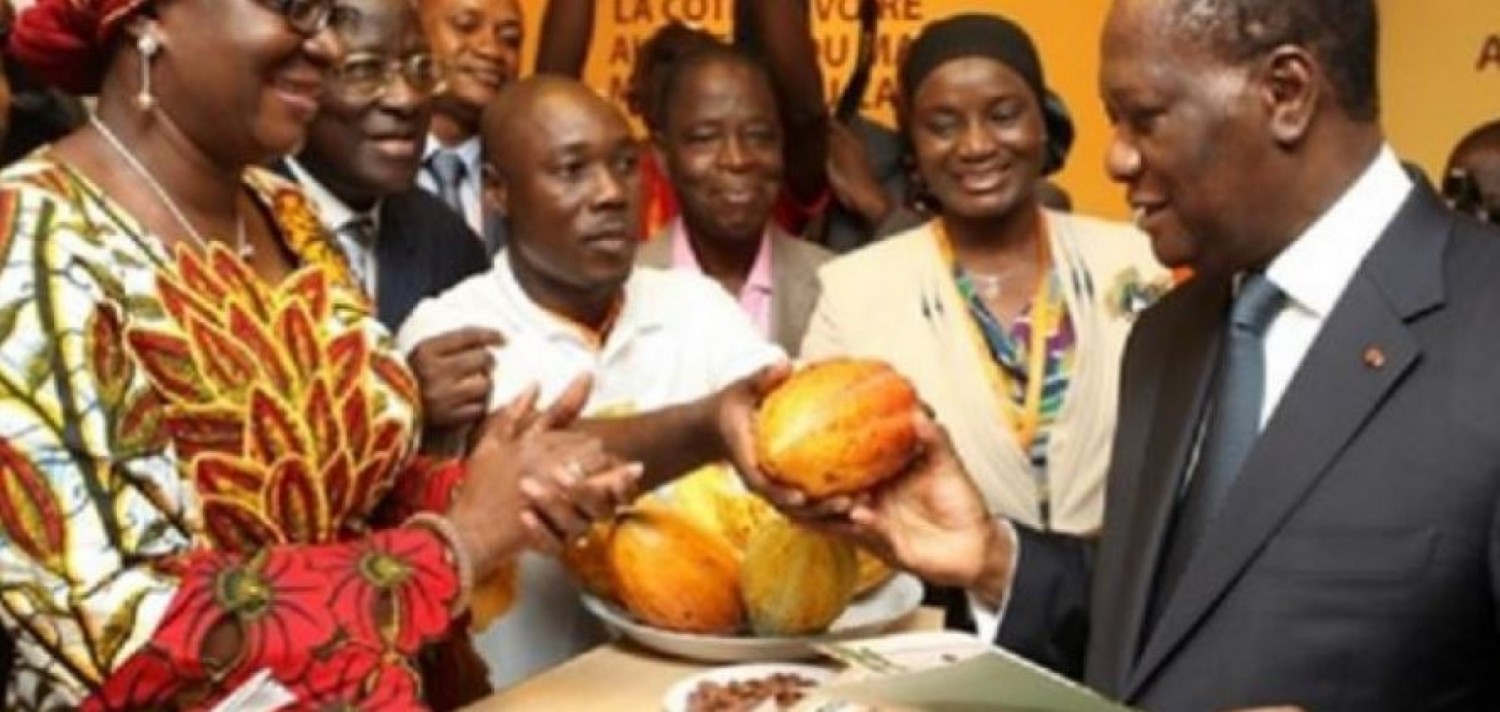 Côte d'Ivoire : Affaire Cacao ivoirien issu de la déforestation, Ouattara assène : « Si les Européens ne veulent pas acheter notre cacao, il y en a d'autres qui vont l'acheter »