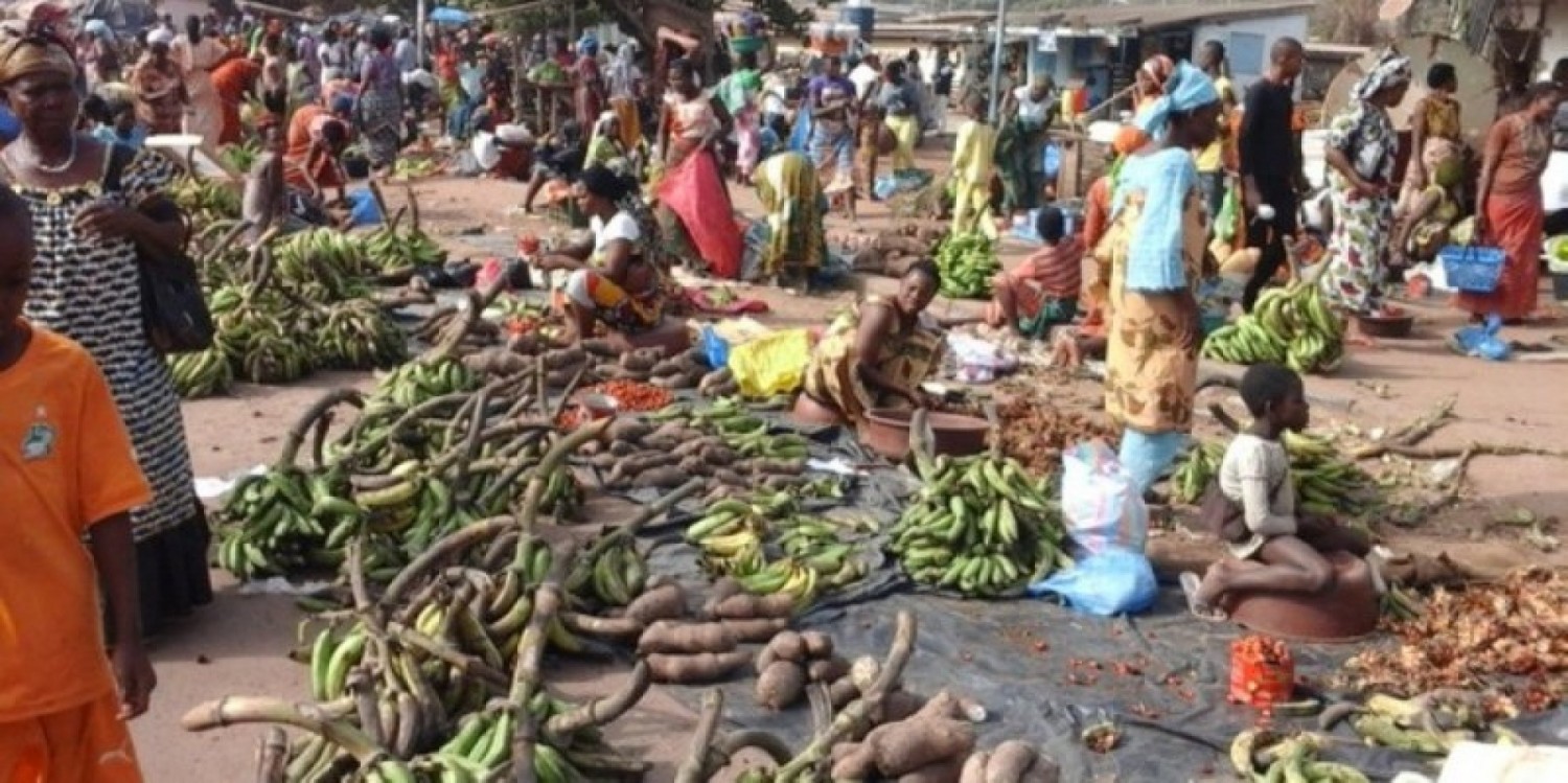 Côte d'Ivoire : Lutte contre la vie chère, le Gouvernement veut réglementer  les exportations de produits vivriers afin de privilégier l'approvisionnement du marché national