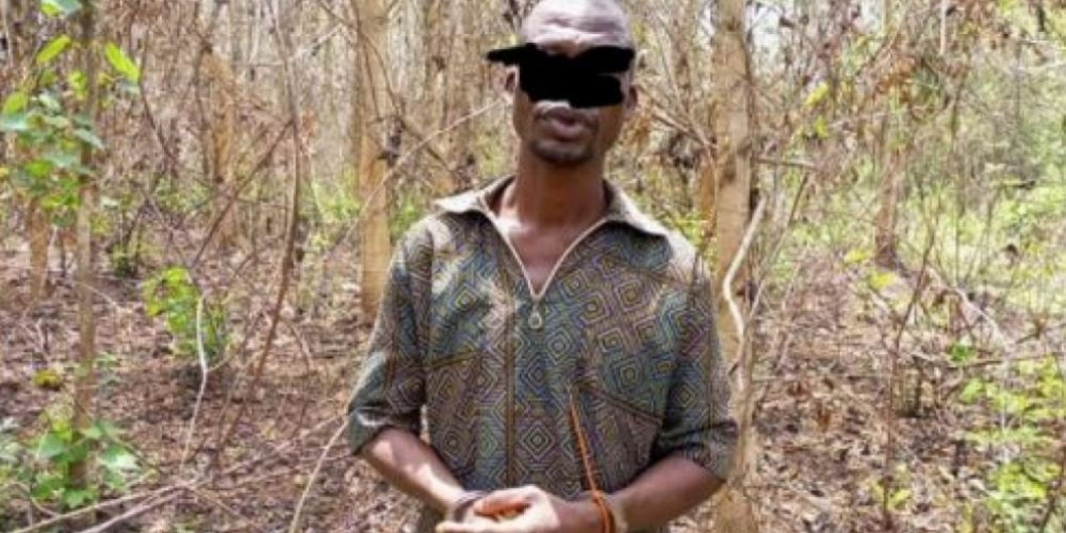 Côte d'Ivoire : Abengourou, le Procureur ordonne l'arrestation d'un individu ayant détruit des reboisements dans une forêt classée