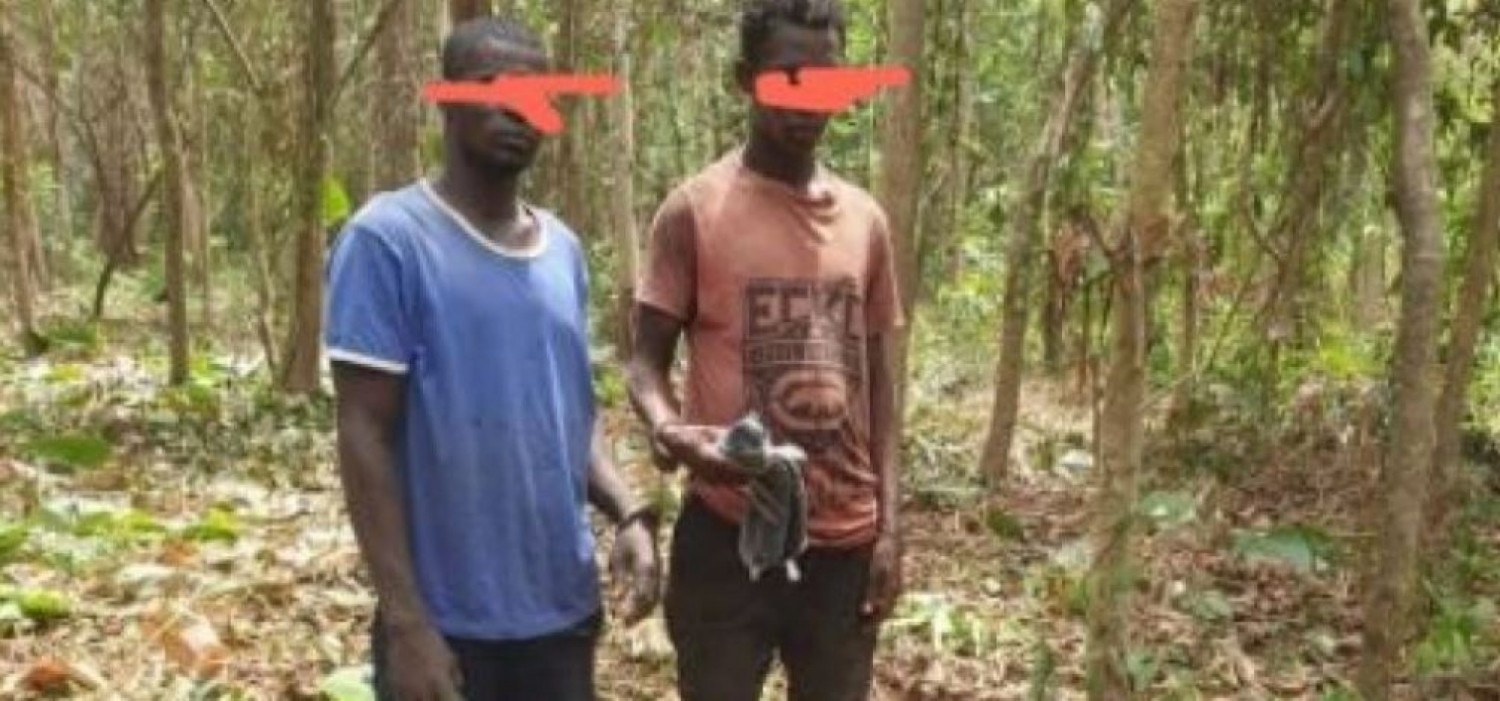 Côte d'Ivoire : Deux fossoyeurs présumés des forêts classées mis aux arrêts à Agboville