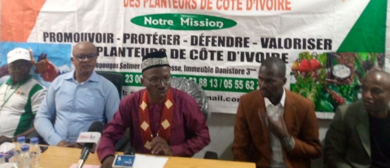 Côte d'Ivoire : Filière Café-Cacao, le syndicat Synarep-CI crie son ras-le-bol face à la misère des planteurs et interpelle le président de la République