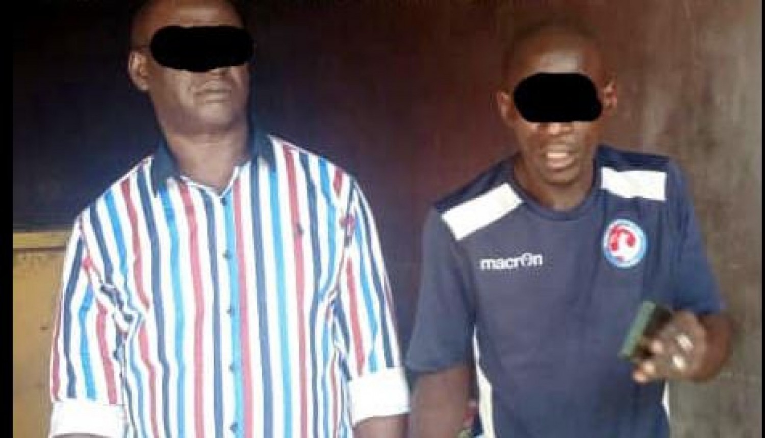 Côte d'Ivoire : Deux présumés trafiquants d'écailles de Pangolins interpellés