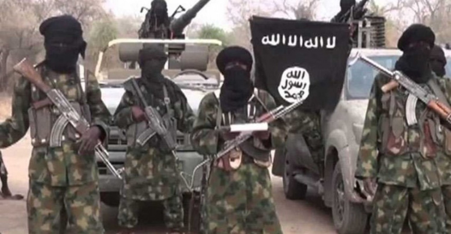 Nigeria : La force multinationale neutralise une centaine de terroristes au Lac Tchad