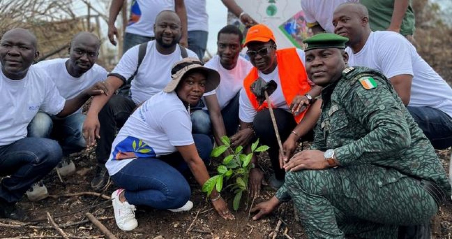 Côte d'Ivoire : Reforestation, Bolloré Transport & Logistics s'engage dans la boucle du cacao