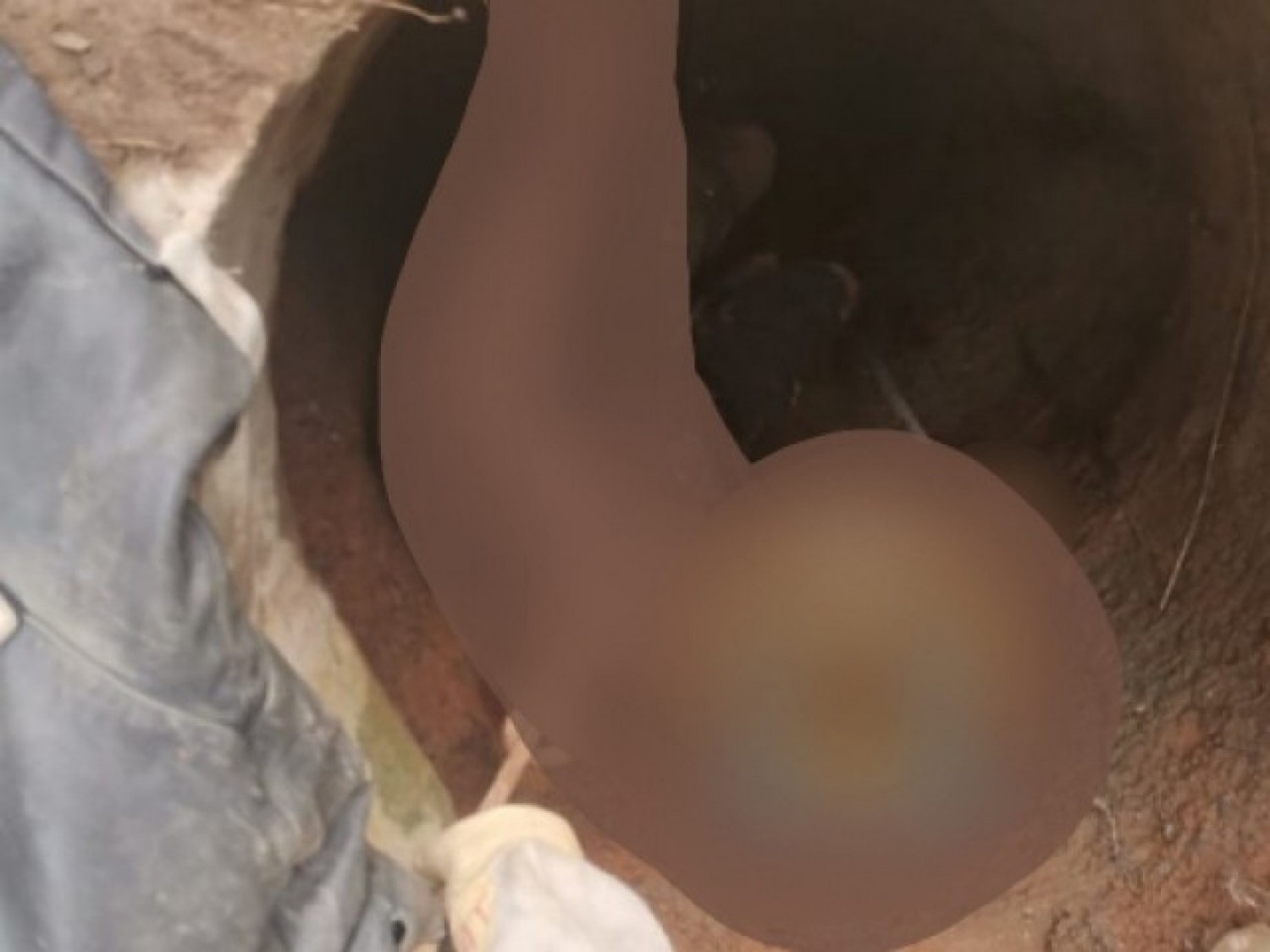 Côte d'Ivoire : Un bœuf par inadvertance tombe dans un puits, le berger trouve la mort en tentant de sauver sa bête