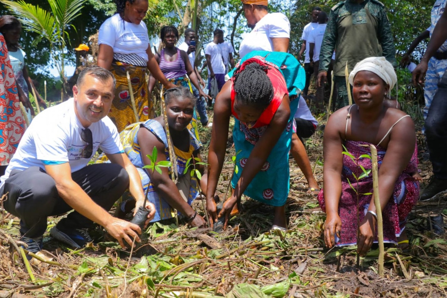 Côte d'Ivoire : Restauration du couvert forestier, en marge de la COP15, lancement à Adiaké du projet de restauration de 160,000 plants de mangroves et arbres agroforestiers