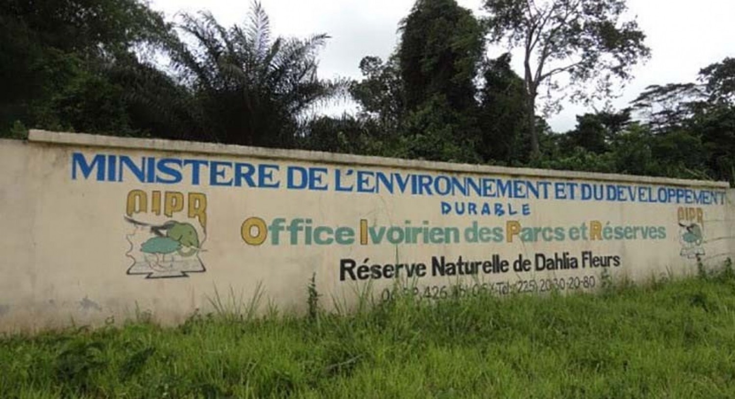 Côte d'Ivoire :  Le ministre Siandou Fofana à propos de la prétendue destruction de la Réserve naturelle de Dahliafleur : «elle n'a été ni concédée, ni vendue à un opérateur »