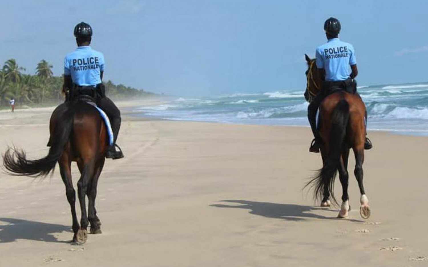 Côte d'Ivoire : Ce que l'on ignore de la Brigade Spéciale d'Equestre (BSE)