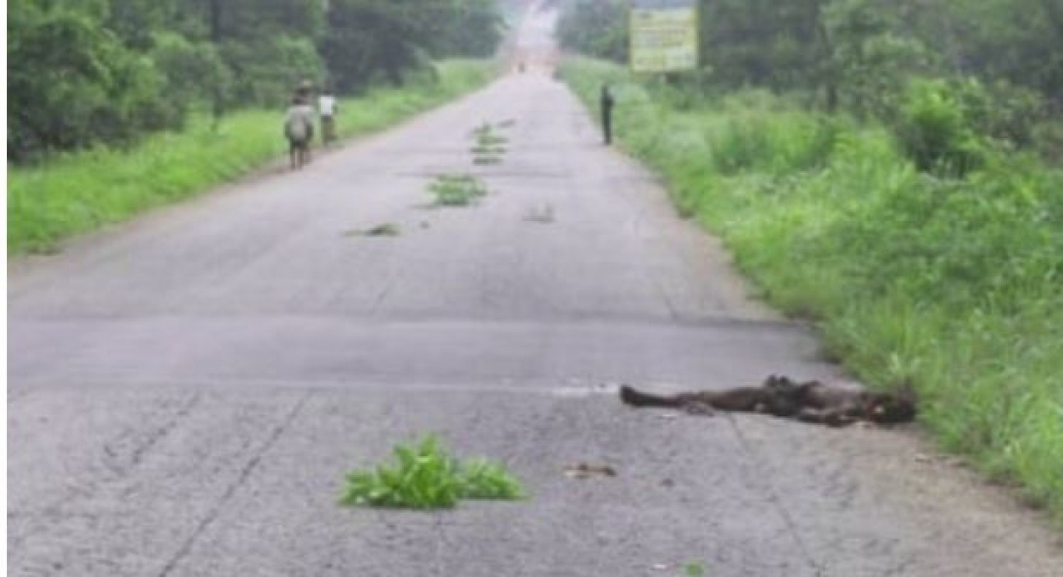 Côte d'Ivoire : Dimbokro, 02 morts dont un gendarme lors d'une fusillade avec des coupeurs de route