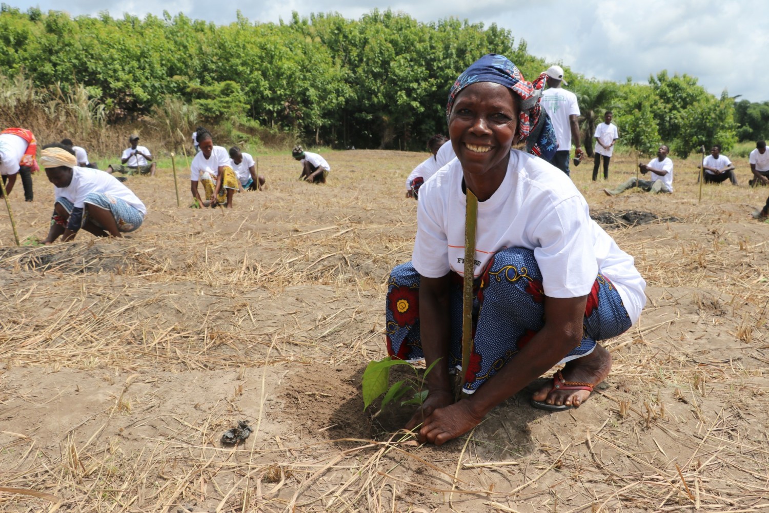 Côte d'Ivoire : Daloa, lancement d'un projet de planting communautaire sur 01 Ha pour soutenir les efforts du Gouvernement dans la lutte contre la déforestation accrue