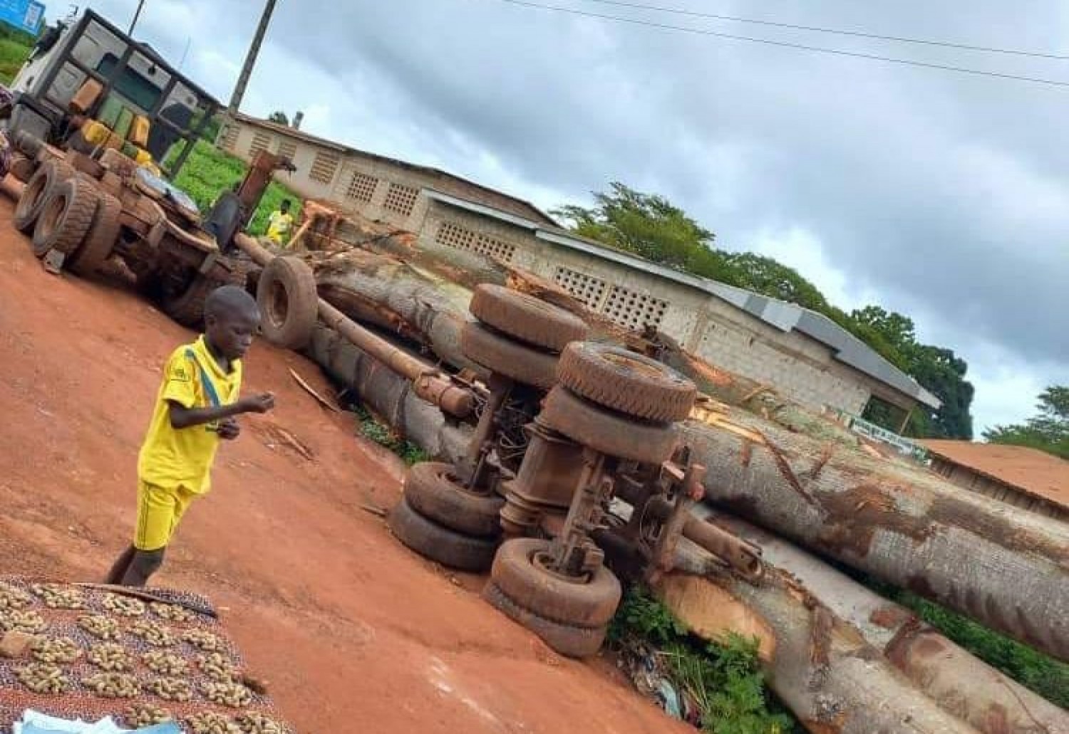 Côte d'Ivoire : Chargé de billes de bois, un grumier se renverse au niveau du marché de Gadouan, l'appel pressant d'un cadre aux autorités