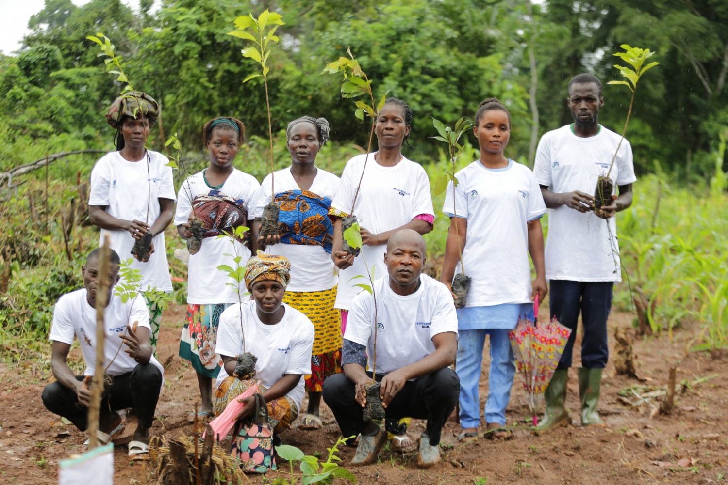 Côte d'Ivoire : Lutte contre la déforestation, à Rubino, une journée de planting sur 1 ha, initiée avec la communauté villageoise