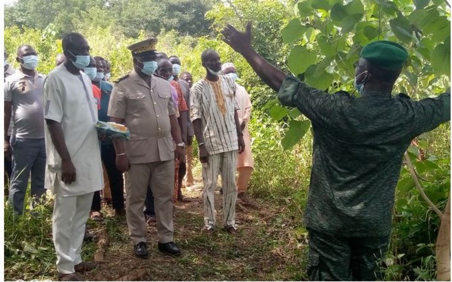 Côte d'Ivoire : Refusant de  déguerpir la forêt classée de Tankessé, les occupants illégaux ne bénéficieront  pas du projet d'électrification initié par l'Etat