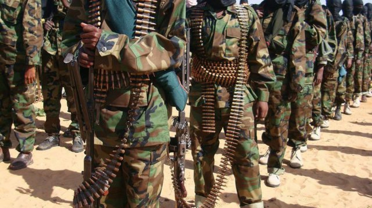 Somalie : L'armée élimine 25 terroristes d'al-Shabab
